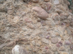 closeup of wall of the Calanque des Figuerolles, showing its conglomerate composition