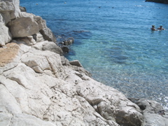 clear blue waters of the Mediterranean, which hide sea urchins