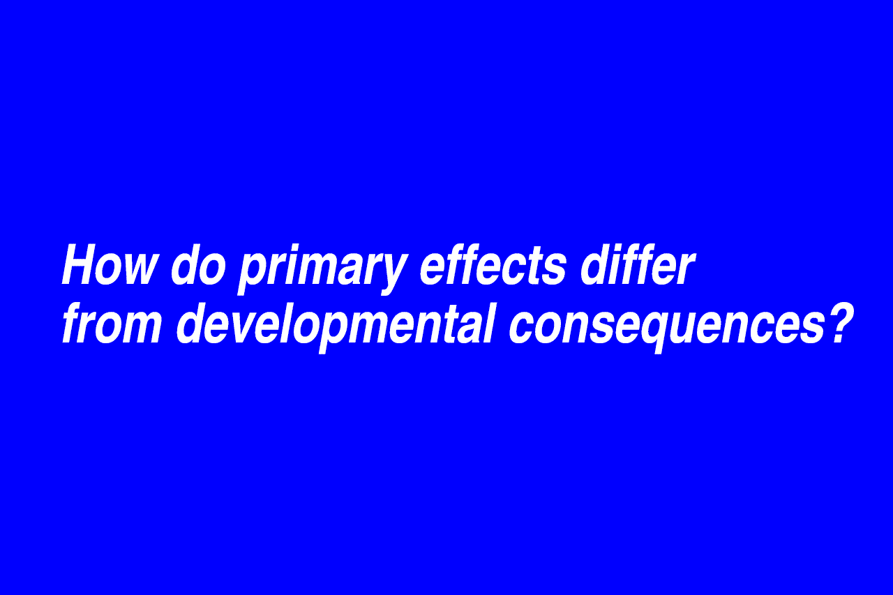 How do primary effects differ from developmental consequences?