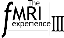 The fMRI experience III