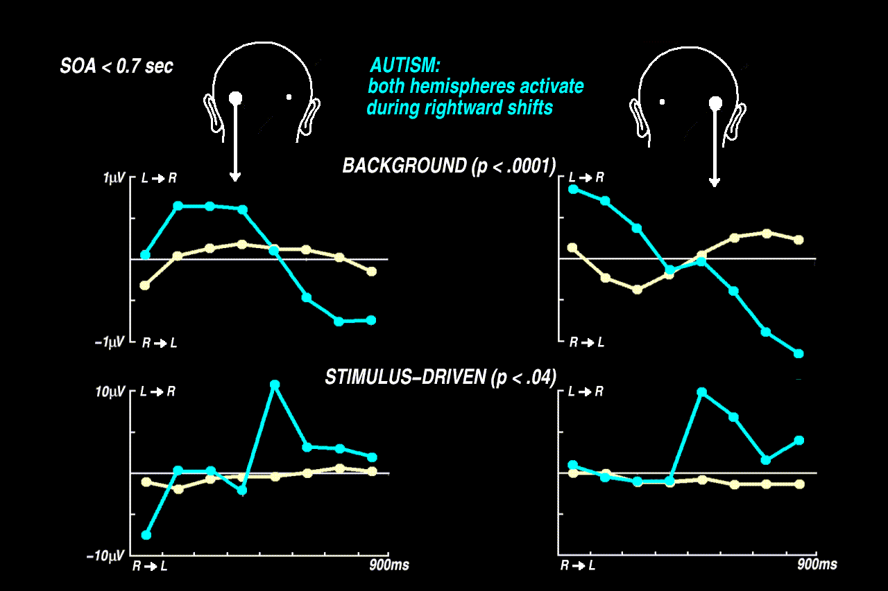 previous autistic EEG results (short SOA)