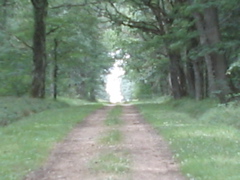 La Gendronnière