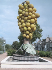 grands raisins près de Tours