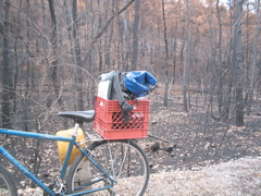 charred landscape