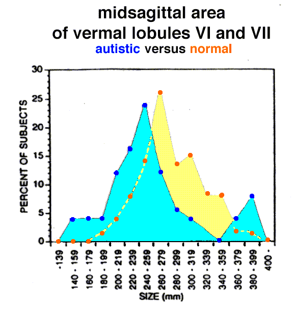 vermis measurements
