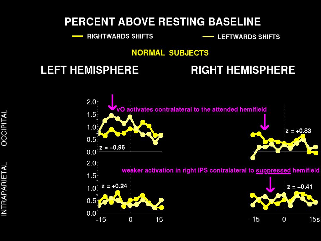 normal fMRI results
