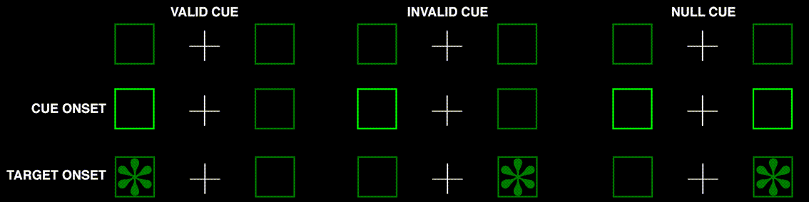the Posner experiment examines spatial shifts of attention
