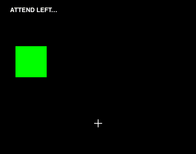 stimulus frame 1