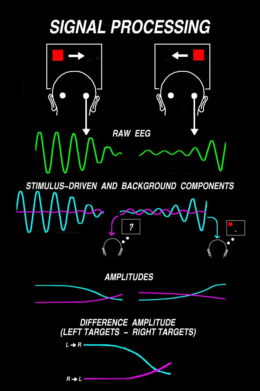 signal processing