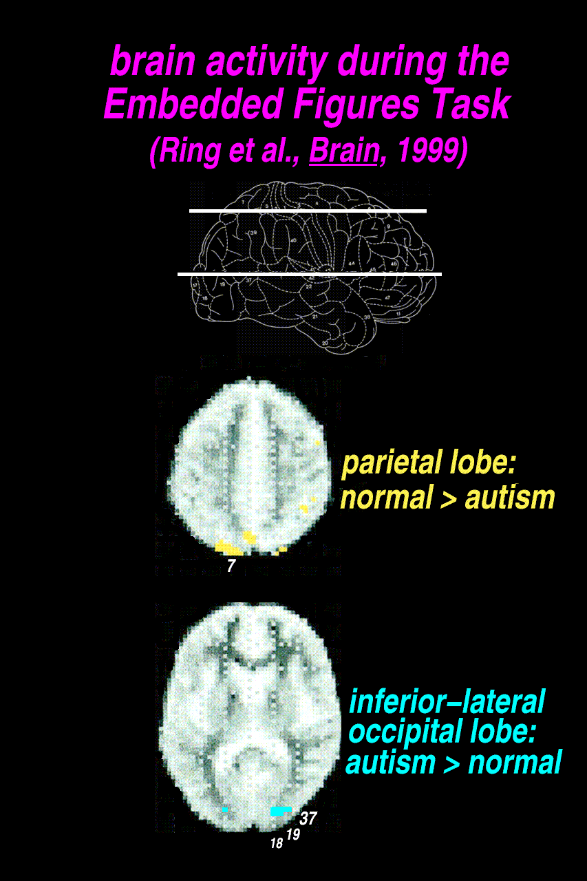 fMRI result on Embedded Figures Task is consistent with this view, but fails to distinguish activities due to shifts and activities modulated by shifts