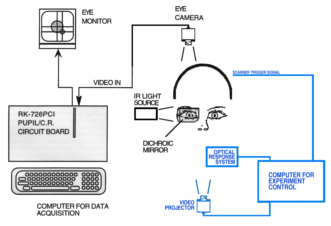 eye tracking